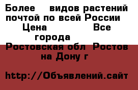 Более200 видов растений почтой по всей России › Цена ­ 100-500 - Все города  »    . Ростовская обл.,Ростов-на-Дону г.